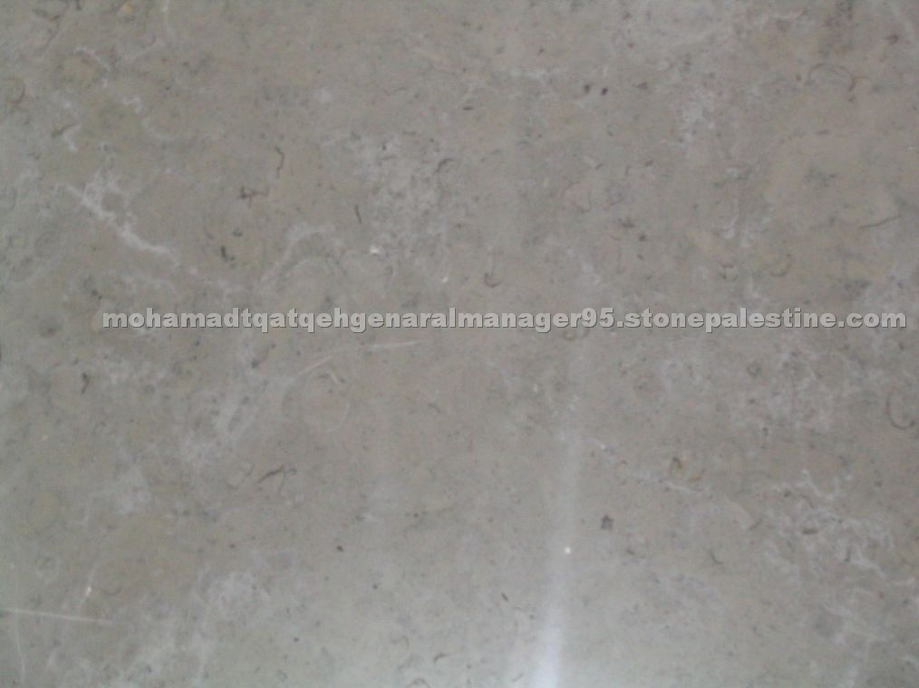 Jerusalem Stone J31