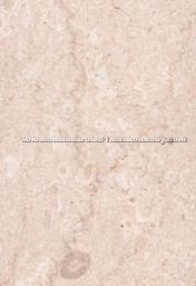 Royal beige limestone