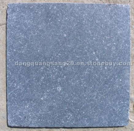 Antiqued Fossils Bluestone