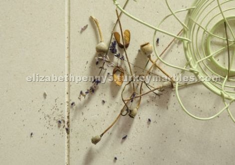 Limra Limestone