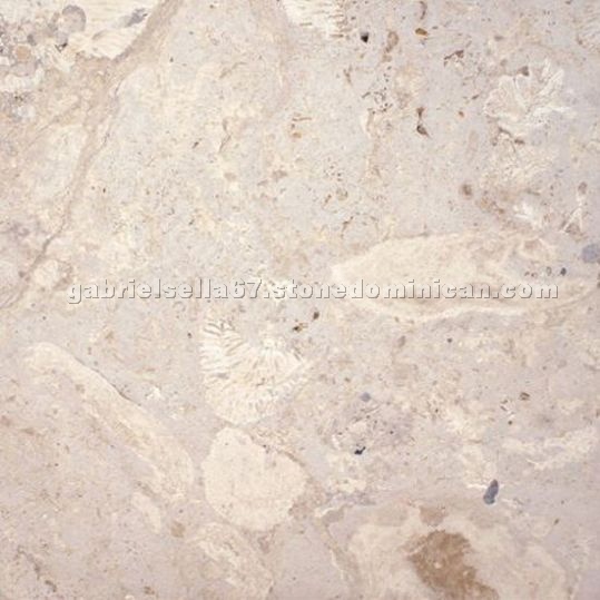 Dominican Classic Coral Stone Tiles