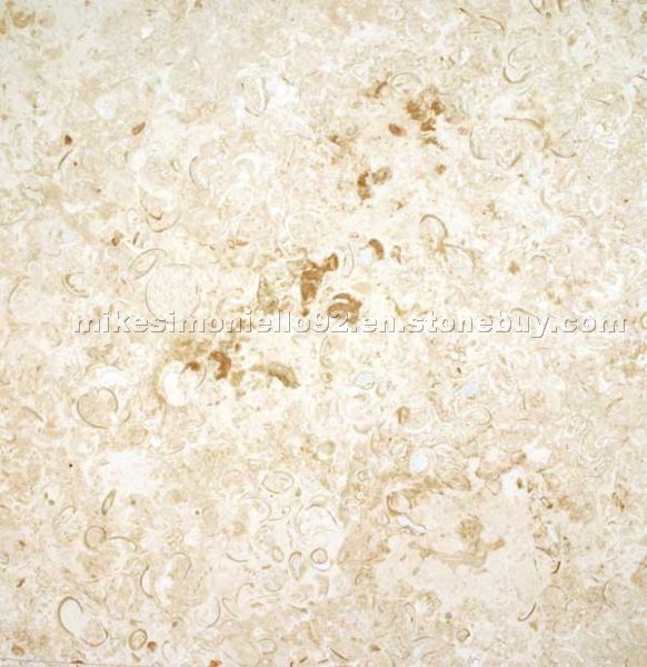 Mexican Shellstone