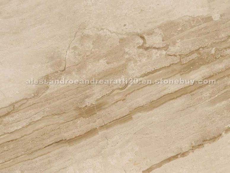 Daino Reale Trasversale Scuro