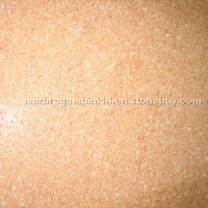 Lumachelle Limestone