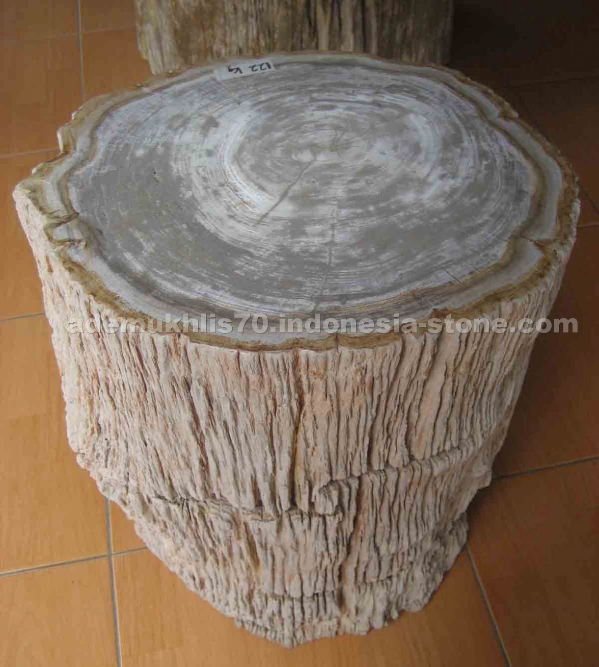petrified wood Top Polished Stools
