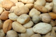 Yellow Pebble