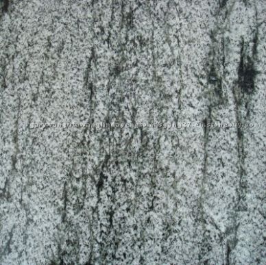 Tiger Green Granite