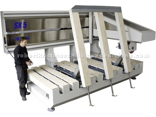 Bridge saw 5 Axis Scandinvent SX5
