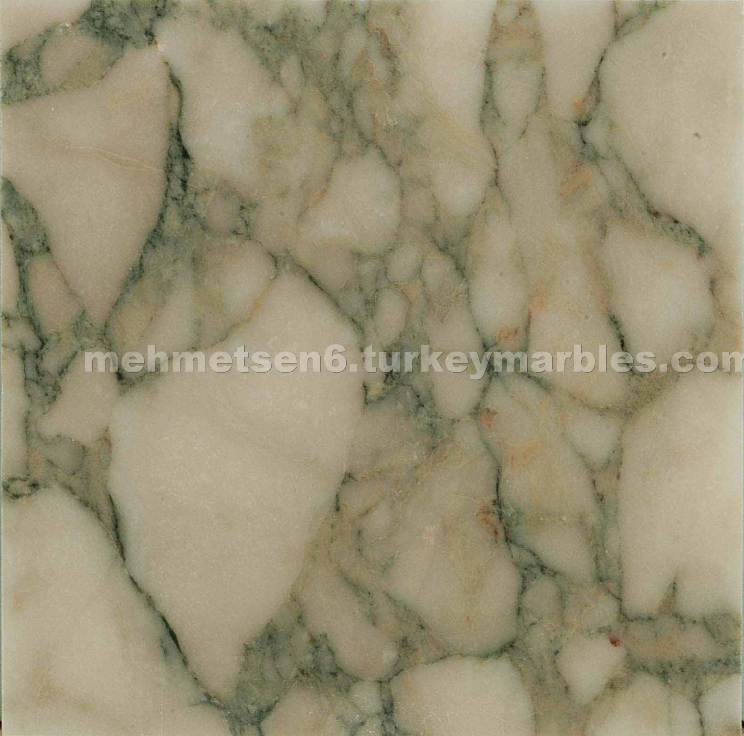 Calacatta Green