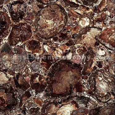 Semi Precious Stone - Brown Petrified Wood