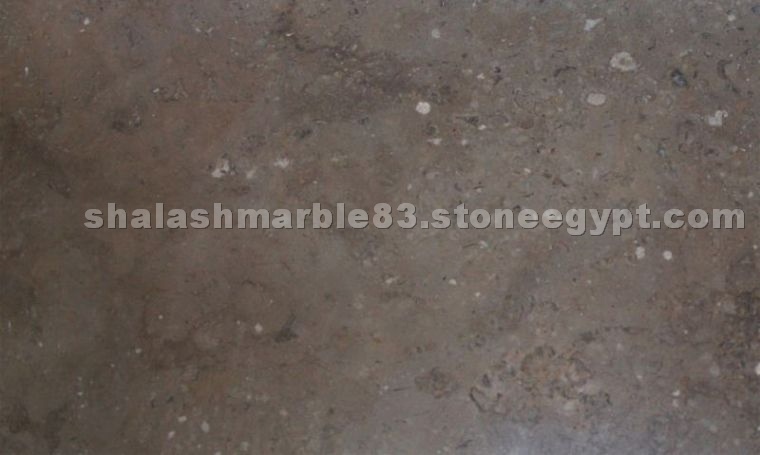 Light Brown Marble