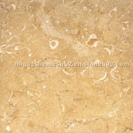 Halil Fossil Limestone