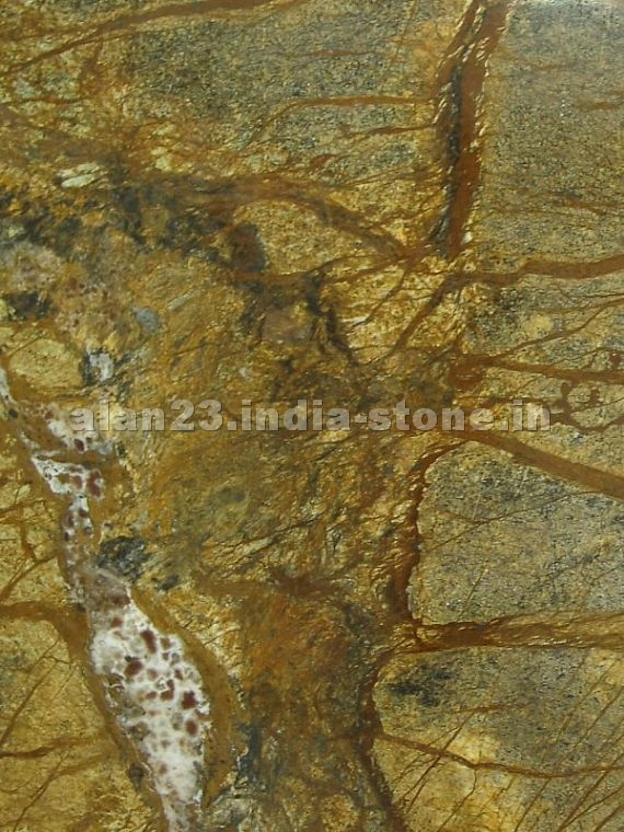 Rainforest Brown Marble