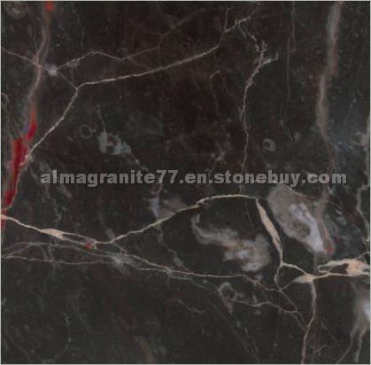 Elegance black marble