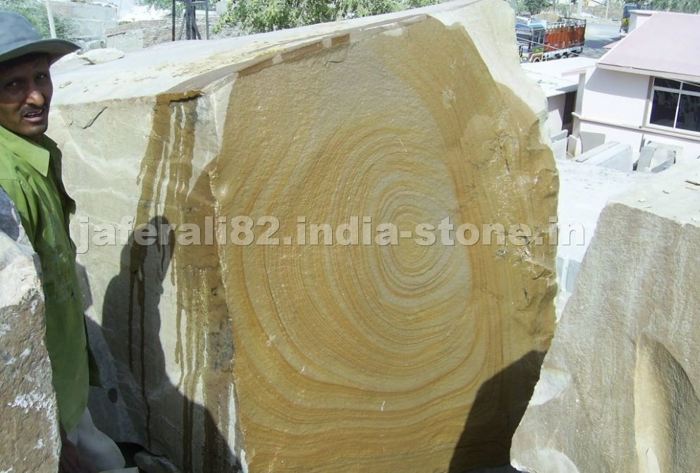 Wonderwood Quartzite