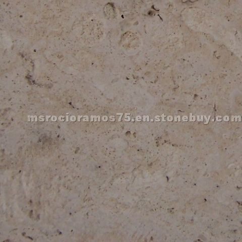 Piedra Coralina Limestone