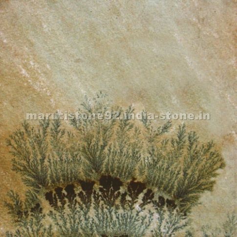 Fossil Sandstone