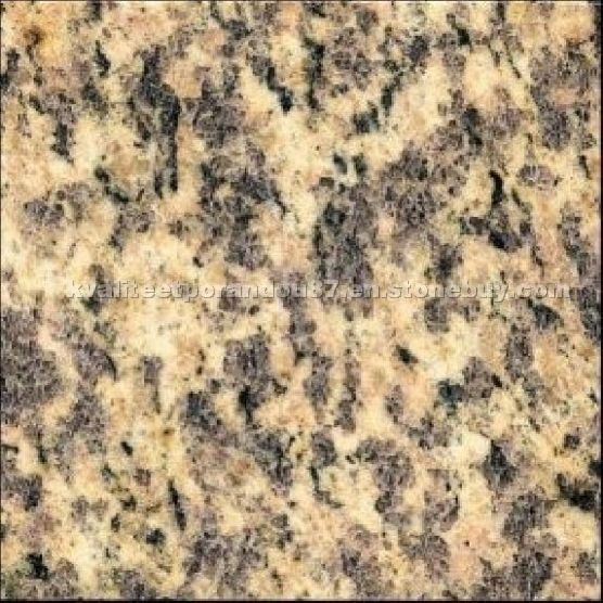 Tiger Skin Granite