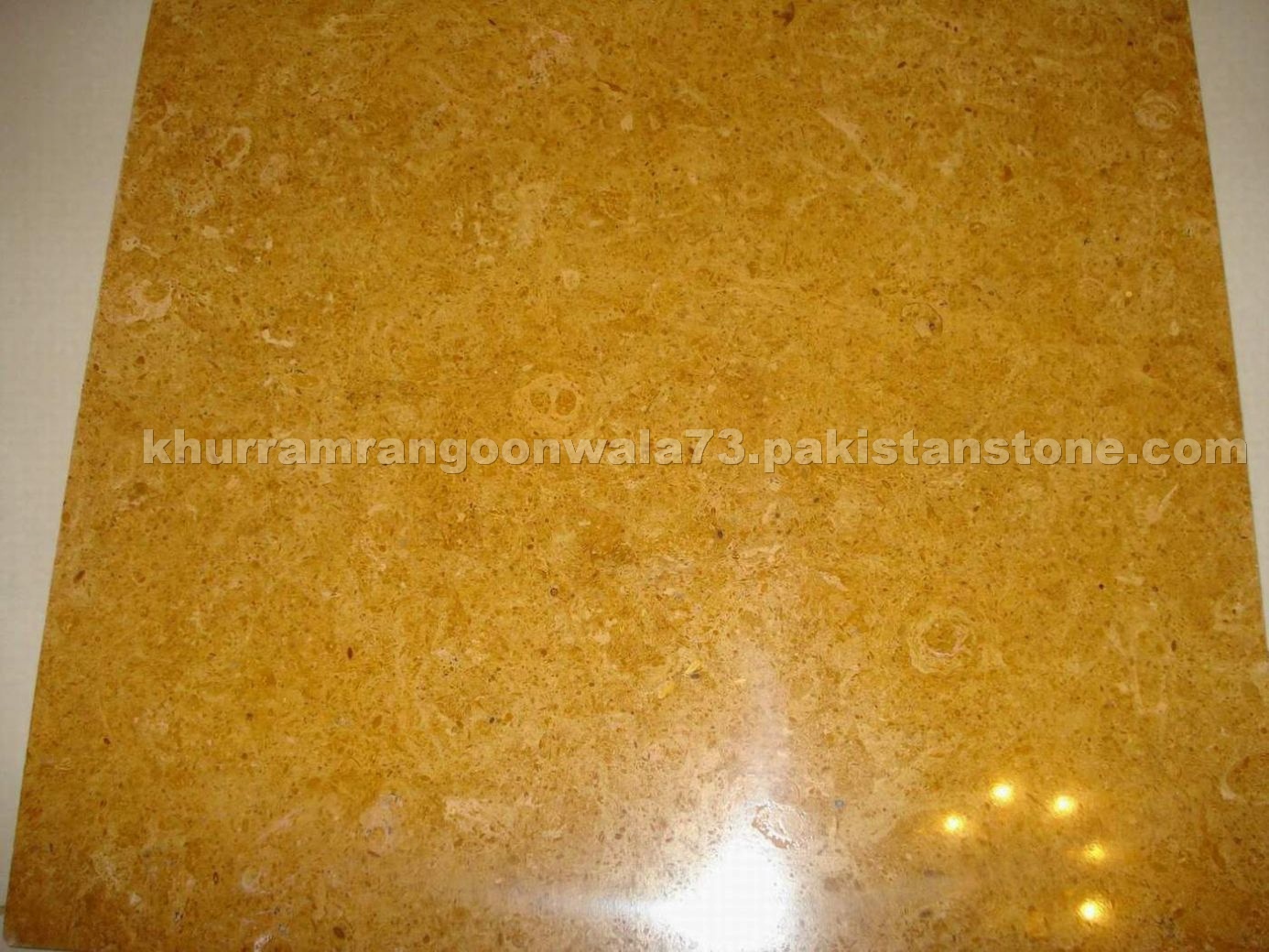 INDUS GOLD MARBLE TILES / SLABS