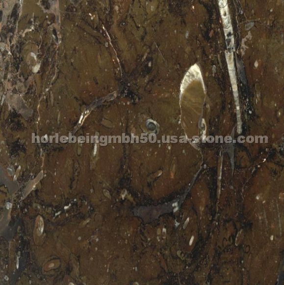 Fossil Brown