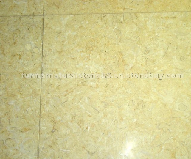 Fossil Gold Limestone