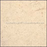 Jerusalem Bone (Medium)
