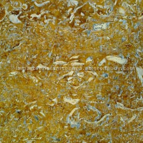 Thala Jaune Limestone