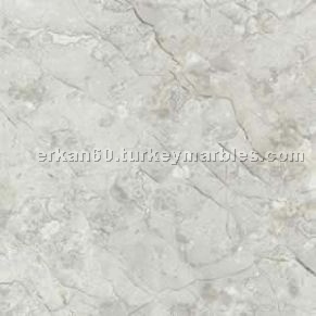 Silver Travertine