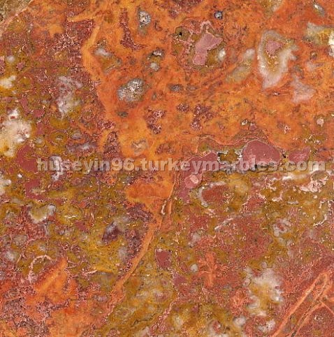 Aizona Red