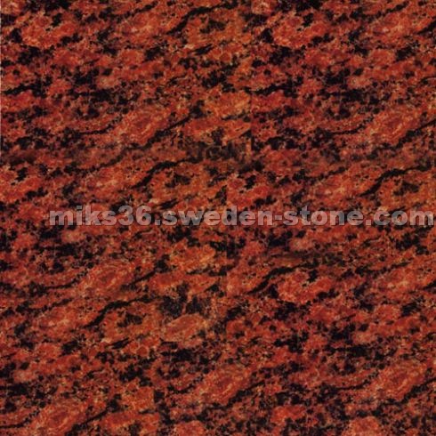 Vanga Red