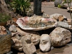 Bird baths, Fountains