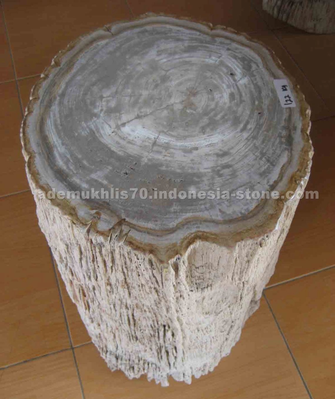 petrified wood Top Polished Stools