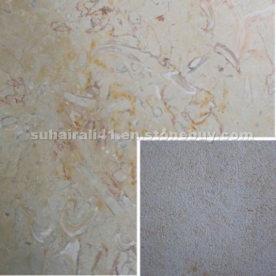 Hebron Limestone - Brushed
