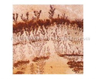 Gwalior Fossil Sandstone