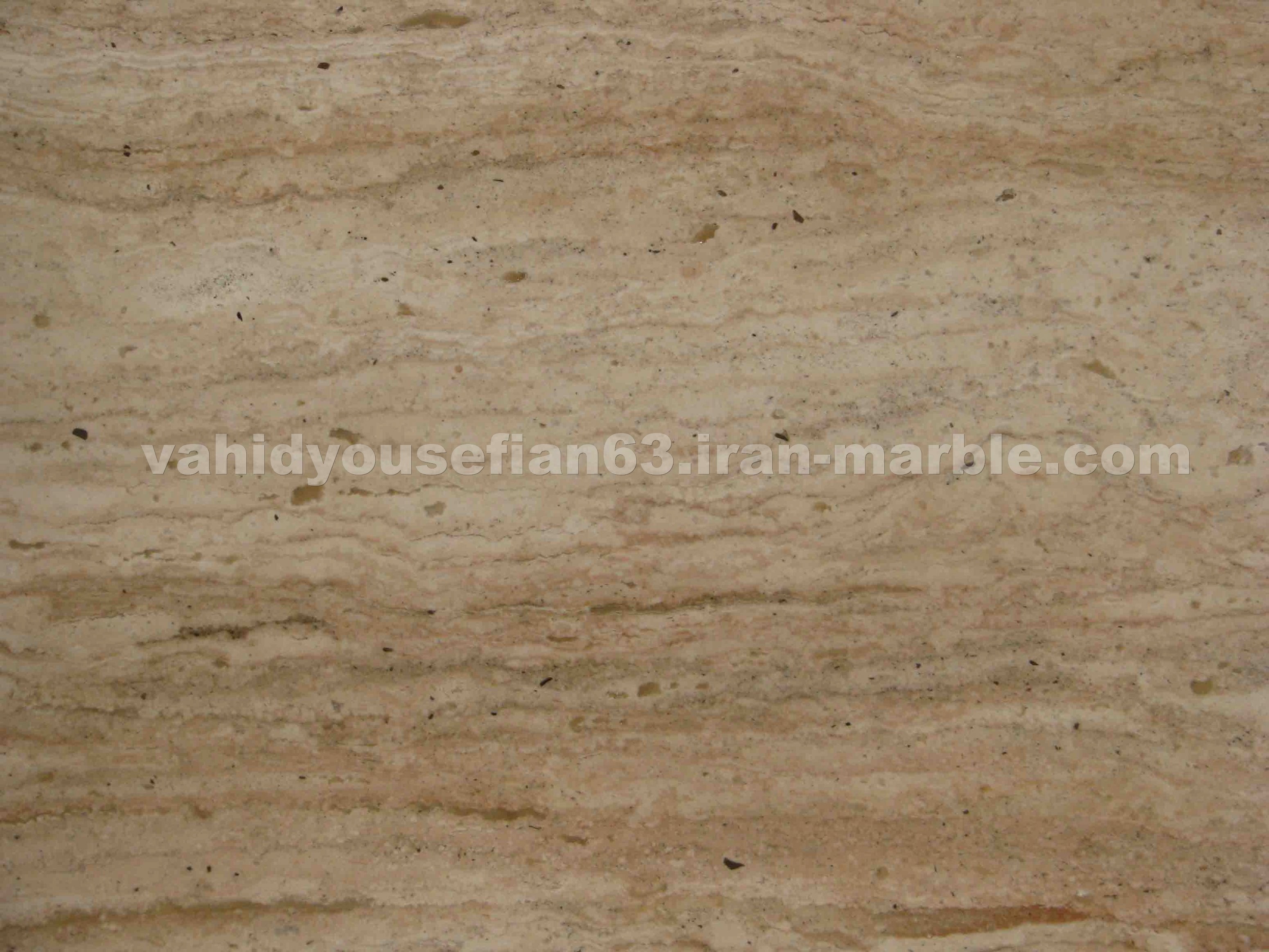New Persian Cream Travertine