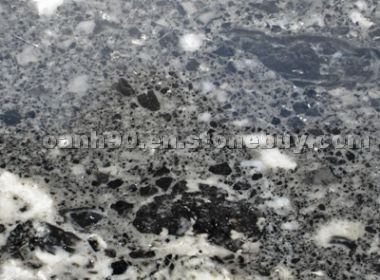 Leo Black Marble