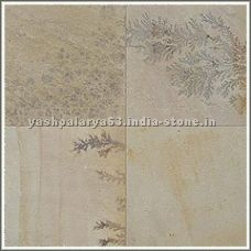 Fossil Sandstone