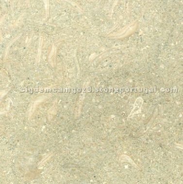 Seagrass Limestone