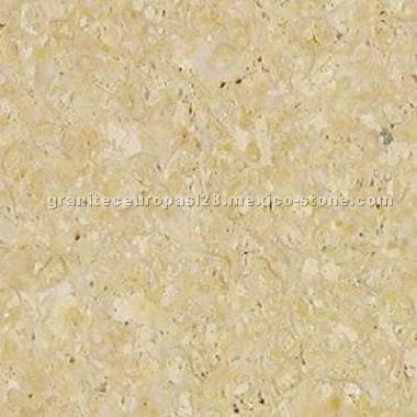 Amarillo Fossil Limestone
