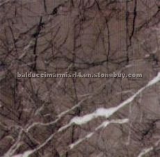 Grigio Carnico Marble