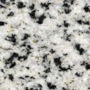 Bianco Halayeb Granite