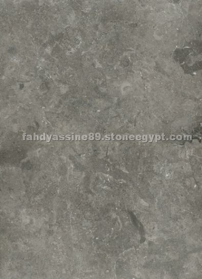 Melli Gray (royal gray)