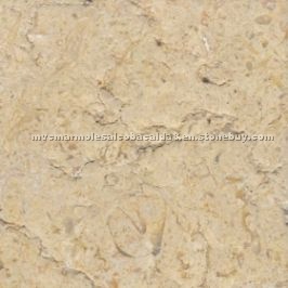 Lioz Dourado Limestone