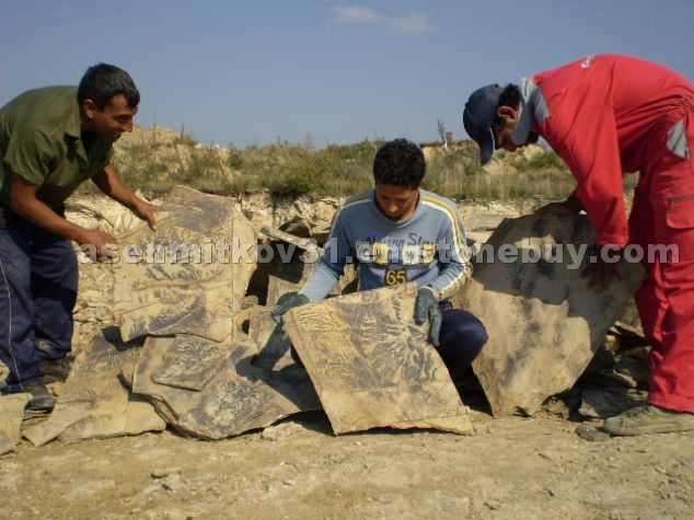 Fossil stone finishes with unique images