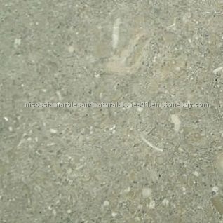 Fossil Green Honed Limestone