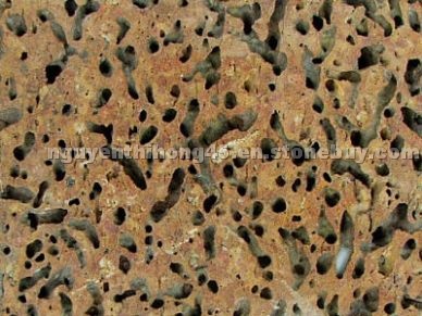 TN Bee Nest Basalt