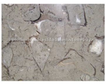 Bahia Fossil Azul