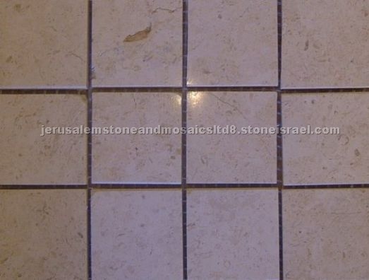 Jerusalem White Fossil Mosaics