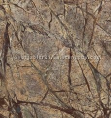 Rain Forrest Brown