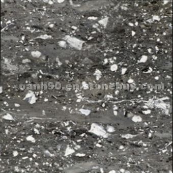 Puma Skin Marble